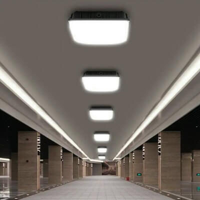 Canopy Lights